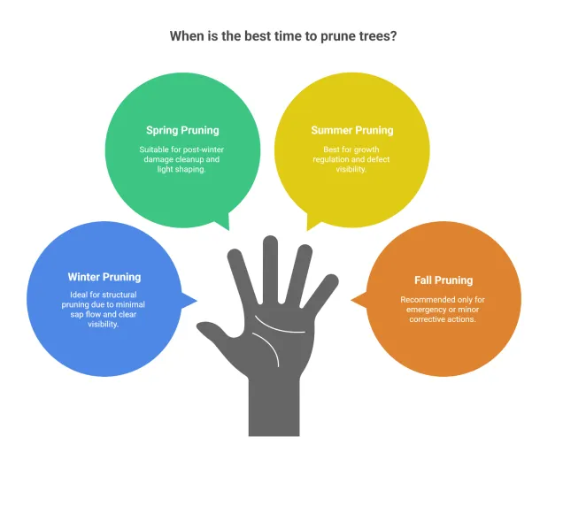 best time to prune trees